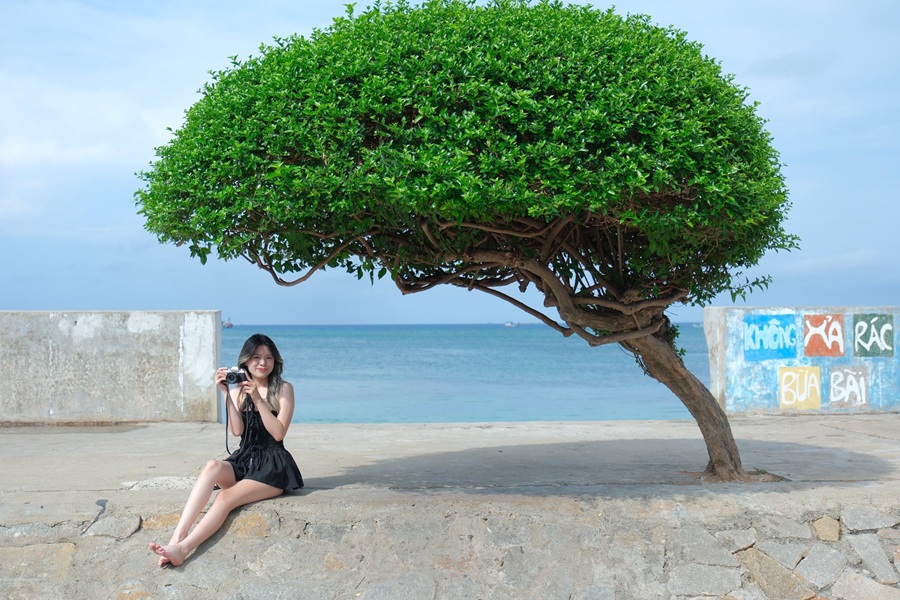 vị trí Cây Cô Đơn